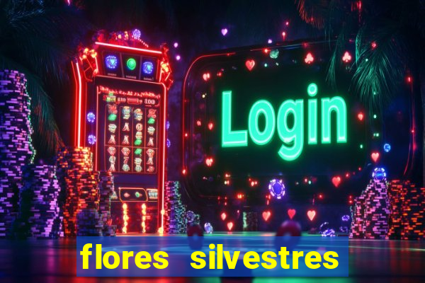 flores silvestres desbravadores desbravadores 25